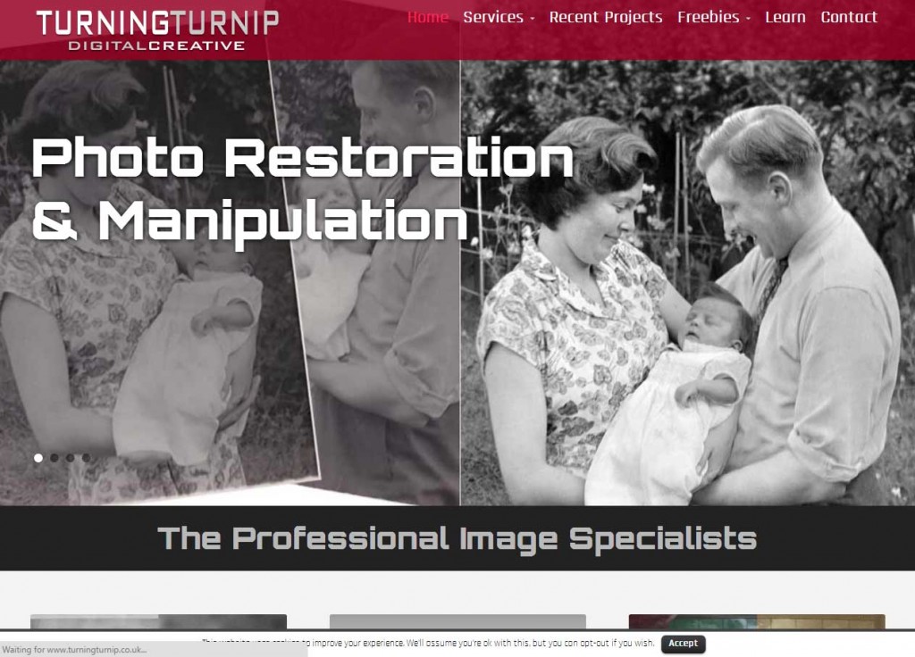 Turning Turnip - web design - Dawlish